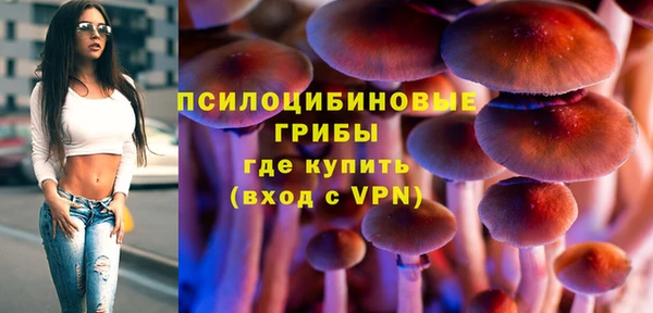 амф Абдулино
