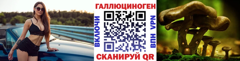 где найти Батайск kraken ONION Галлюциногенные грибы Magic Shrooms